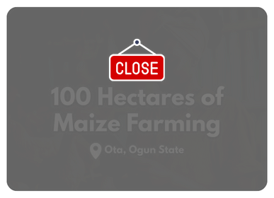 2,000 capacity poultry farm (2)